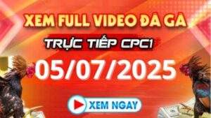 Xem lại video đá gà CPC1 ngày 05_07_2025 tại Daga88