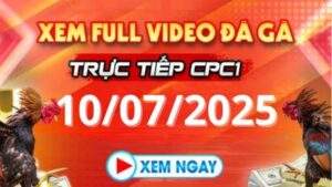 Xem lại video đá gà CPC1 ngày 10_07_2025 tại Daga88