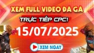 Xem lại video đá gà CPC1 ngày 15_07_2025 tại Daga88