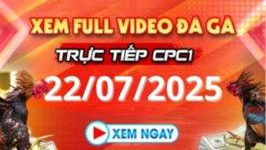 Xem lại video đá gà CPC1 ngày 22_07_2025 tại Daga88