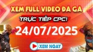 Xem lại video đá gà CPC1 ngày 24_07_2025 tại Daga88