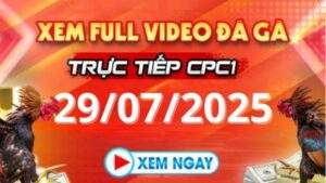 Xem lại video đá gà CPC1 ngày 29_07_2025 tại Daga88
