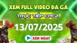 Xem lại video đá gà CPC2 ngày 13_07_2025 tại Daga88