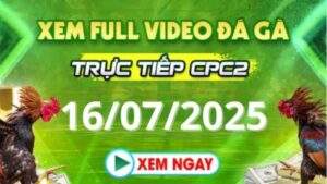 Xem lại video đá gà CPC2 ngày 16_07_2025 tại Daga88