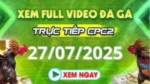 Xem lại video đá gà CPC2 ngày 27_07_2025 tại Daga88