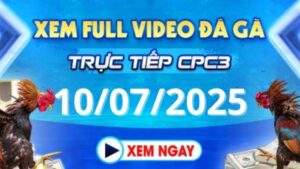 Xem lại video đá gà CPC3 ngày 10_07_2025 tại Daga88