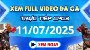 Xem lại video đá gà CPC3 ngày 11_07_2025 tại Daga88