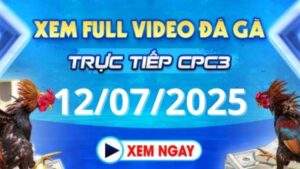 Xem lại video đá gà CPC3 ngày 12_07_2025 tại Daga88