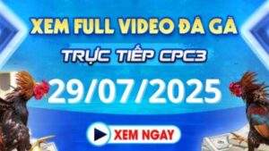 Xem lại video đá gà CPC3 ngày 29_07_2025 tại Daga88