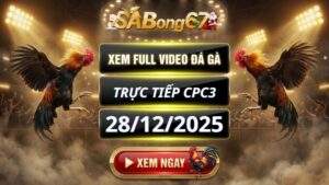 Xem Lai Video Da Ga CPC3 Truc Tiep Ngay 28122025 3