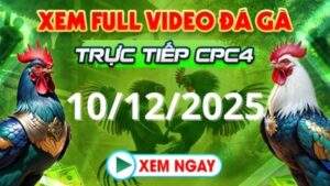 Xem Lại Video Đá Gà CPC4 Trực Tiếp Ngày 10/12/2025