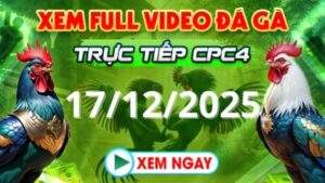 Xem Lại Video Đá Gà CPC4 Trực Tiếp Ngày 17/12/2025