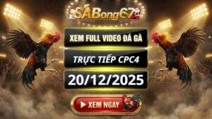 Xem lại video đá gà CPC4 trực tiếp ngày 20/12/2025
