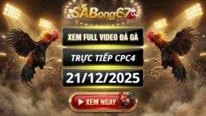 Xem Lại Video Đá Gà CPC4 Trực Tiếp Ngày 21/12/2025