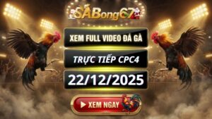 Xem Lại Video Đá Gà CPC4 Trực Tiếp Ngày 22/12/2025