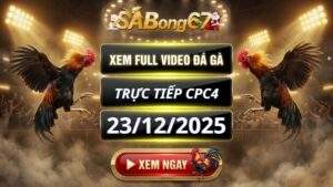 Xem Lại Video Đá Gà CPC4 Trực Tiếp Ngày 23/12/2025