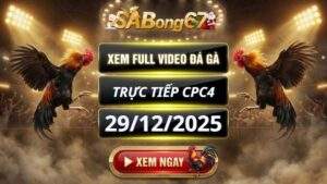 Xem Lai Video Da Ga CPC4 Truc Tiep Ngay 29122025 1 3