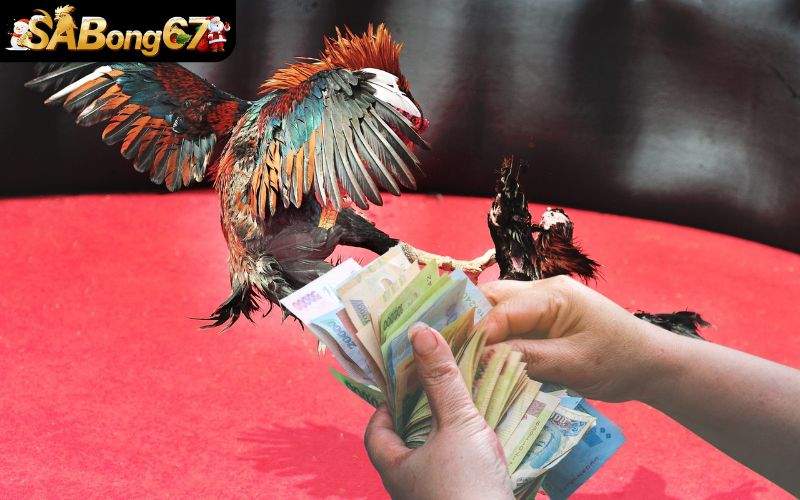 Luật đặt cược mọi bet thủ đề có thể ghi nhớ nhanh chóng