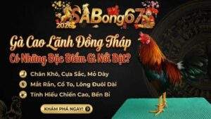 Ga Cao Lanh Dong Thap Co Nhung Dac Diem Gi Noi Bat 1 3