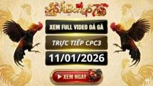 Xem Lai Video Da Ga CPC3 Truc Tiep Ngay 11 01 2026 tai SABONG67 1 3