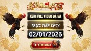 Xem Lai Video Da Ga CPC4 Truc Tiep Ngay 02012026 1 3