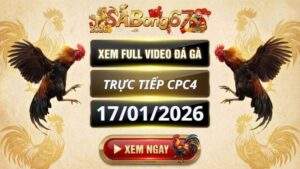 Xem Lai Video Da Ga CPC4 Truc Tiep Ngay 17012026 3