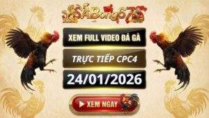 Xem Lai Video Da Ga CPC4 Truc Tiep Ngay 24012026 4