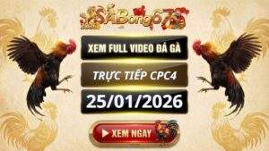 Xem Lai Video Da Ga CPC4 Truc Tiep Ngay 25012026 4