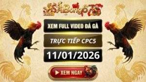 Xem Lai Video Da Ga CPC5 Truc Tiep Ngay 11 01 2026 tai SABONG67 1 3
