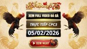 Xem Lai Video Da Ga CPC3 Truc Tiep Ngay 05022026 3