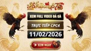 Xem Lai Video Da Ga CPC4 Truc Tiep Ngay 11022026 2
