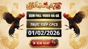 Xem Lai Video Da Ga CPC5 Truc Tiep Ngay 01022026 3