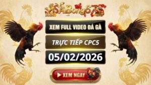 Xem Lai Video Da Ga CPC5 Truc Tiep Ngay 05022026 3