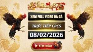 Xem Lai Video Da Ga CPC5 Truc Tiep Ngay 08022026 3