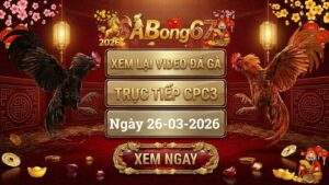 SABONG67 Xem Lai Video Da Ga CPC3 Truc Tiep Ngay 26032026 1