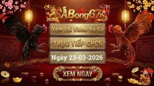 SABONG67 Xem Lai Video Da Ga CPC5 Truc Tiep Ngay 23032026